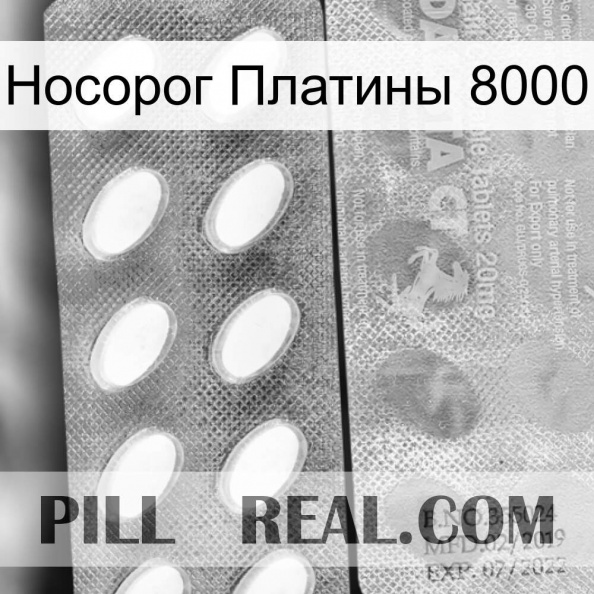 Носорог Платины 8000 42.jpg